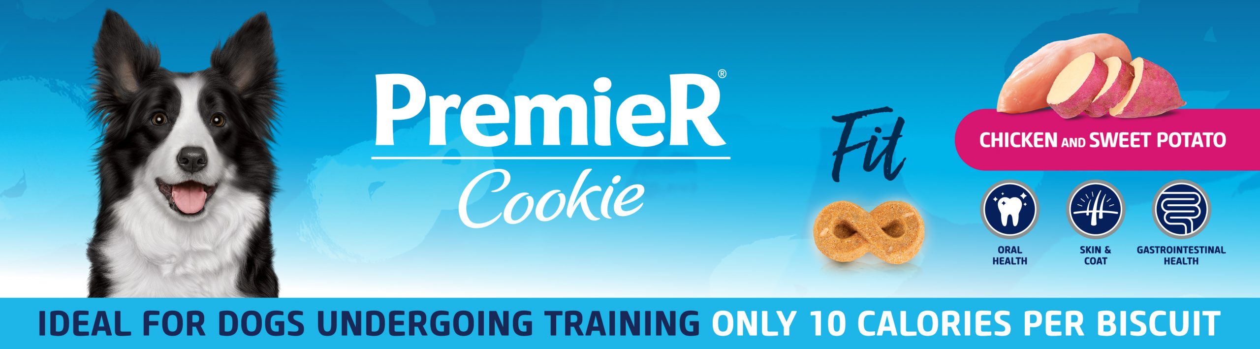 [ApresentaÃ§Ã£o - 28/10] - Premier Cookie