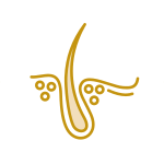 Pelaje Hermoso y Piel Saludable