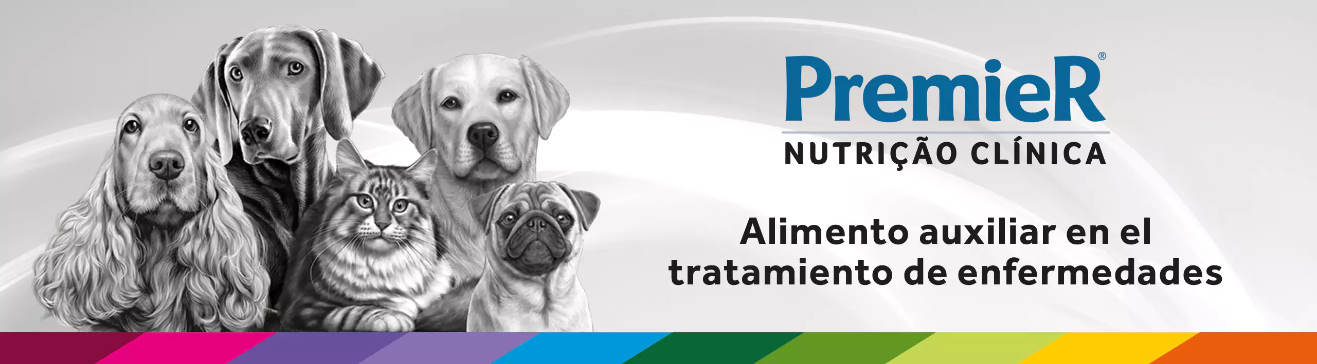 Banner | Premier Nutrición Clinica