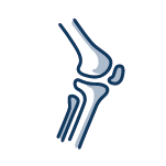Soporte Articular