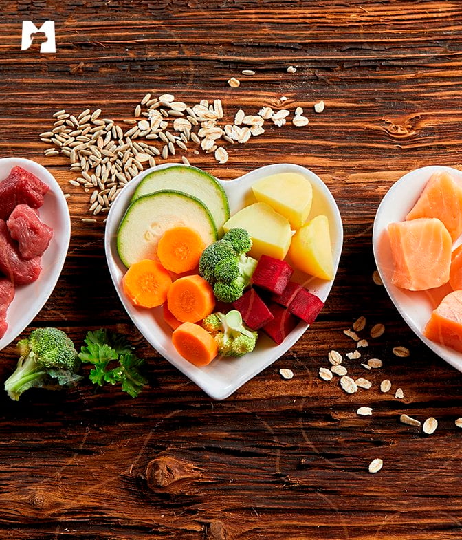 Nutrientes ideais para pets