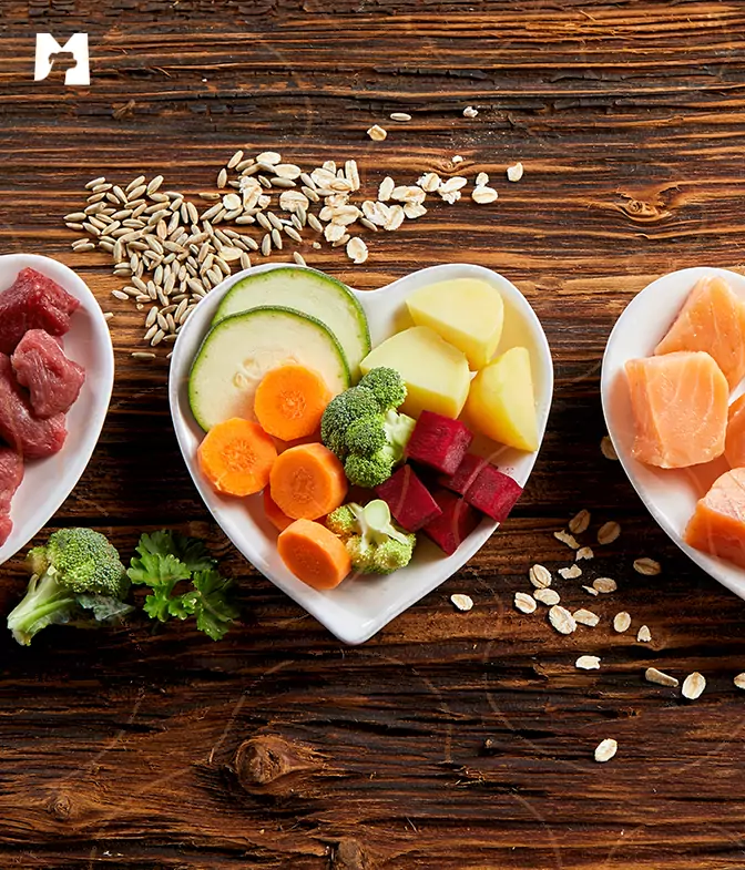 Nutrientes ideais para pets