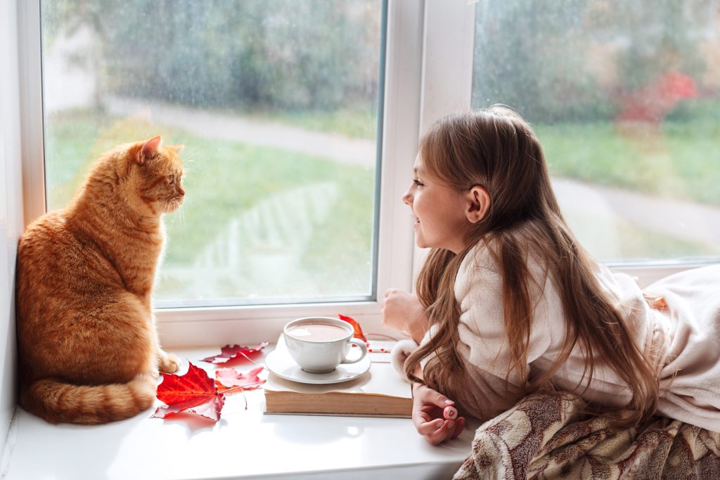 Criança brincando com gato