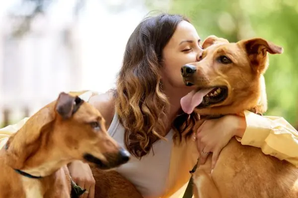 Tutora beijando cão enquanto abraça outro