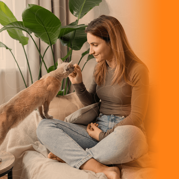 Tutora dando petisco para gato em casa