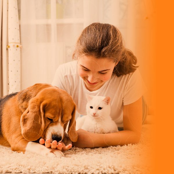 Tutora com cão e gato em casa