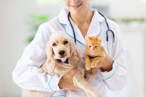 Médica-veterinária segurando filhote de cão e gato