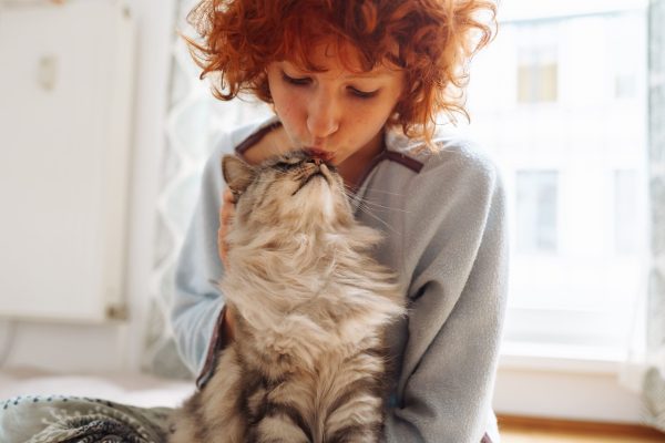 Gato ganhando beijo de tutora