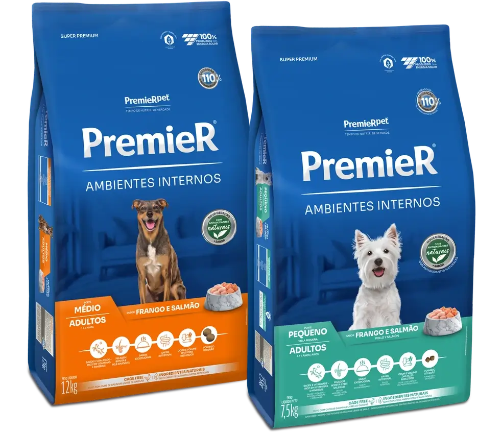 PremieR Ambientes Internos – Cão