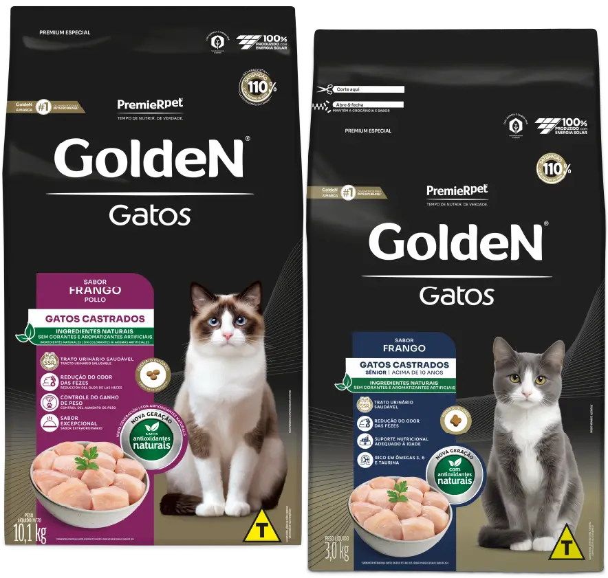 GoldeN Gatos