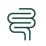 Intestino Saudável