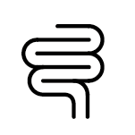 Intestino Saudável