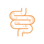 Saúde Intestinal