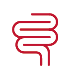 Intestino Saudável