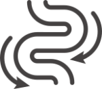 Saúde Intestinal