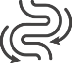 Saúde Intestinal