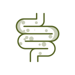 Saúde Intestinal 