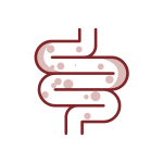 Saúde Intestinal 