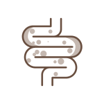 Saúde Intestinal 