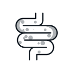 Saúde Intestinal 