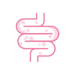 Saúde Intestinal