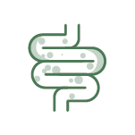 Saúde Intestinal