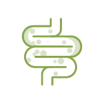 Saúde Intestinal