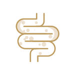 Saúde Intestinal