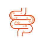 Saúde Intestinal