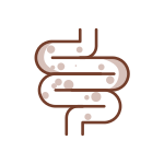 Saúde Intestinal