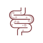 Saúde Intestinal