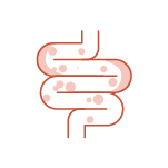 Saúde Intestinal