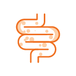 Saúde Intestinal