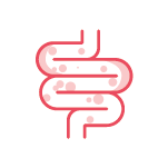 Saúde Intestinal