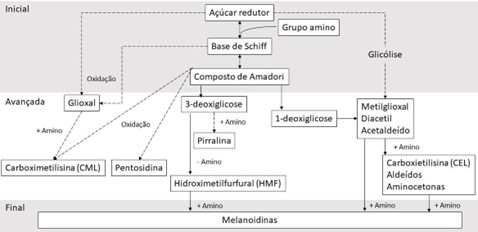 Esquema das fases da reação de Maillard e de alguns de seus produtos