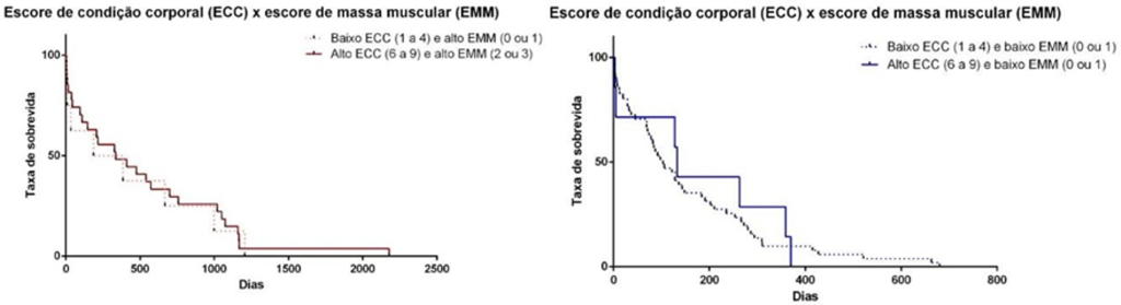 Taxa de sobrevida de cães com baixo ECC e alto EMM versus alto ECC e alto EMM (A) e cães com baixo ECC e baixo EMM versus alto ECC e baixo EMM (B)