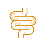 Saúde intestinal