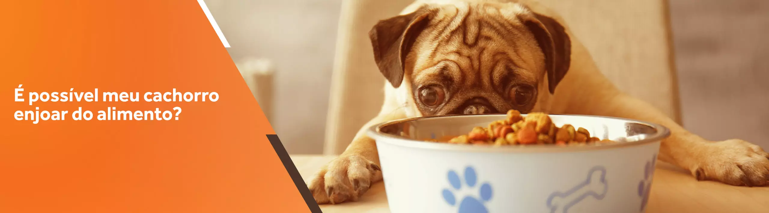 Blog de nutrologia | É possível meu cachorro enjoar do alimento?