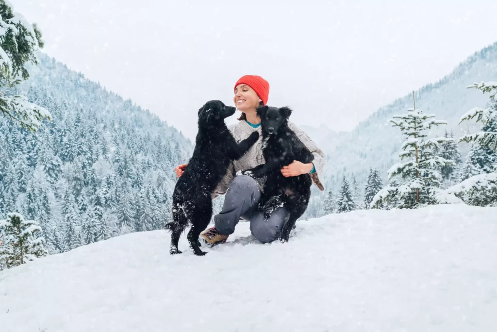 Tutora brincando com cães na neve