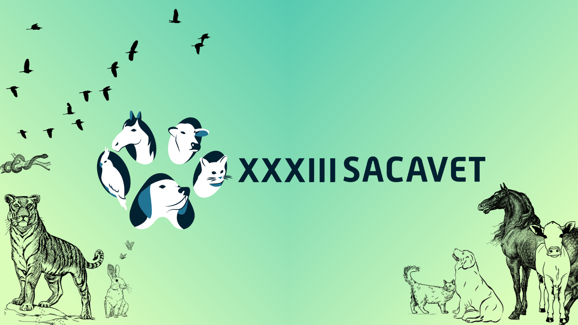 Logo do XXXIII SACAVET