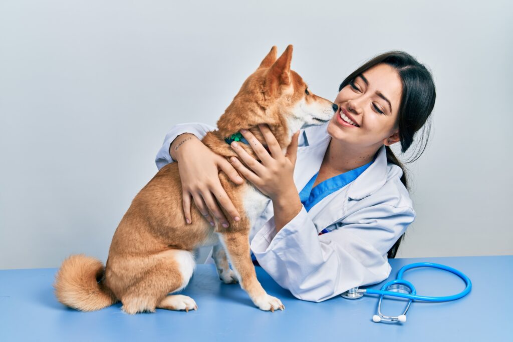 Cão sendo examinado por veterinário