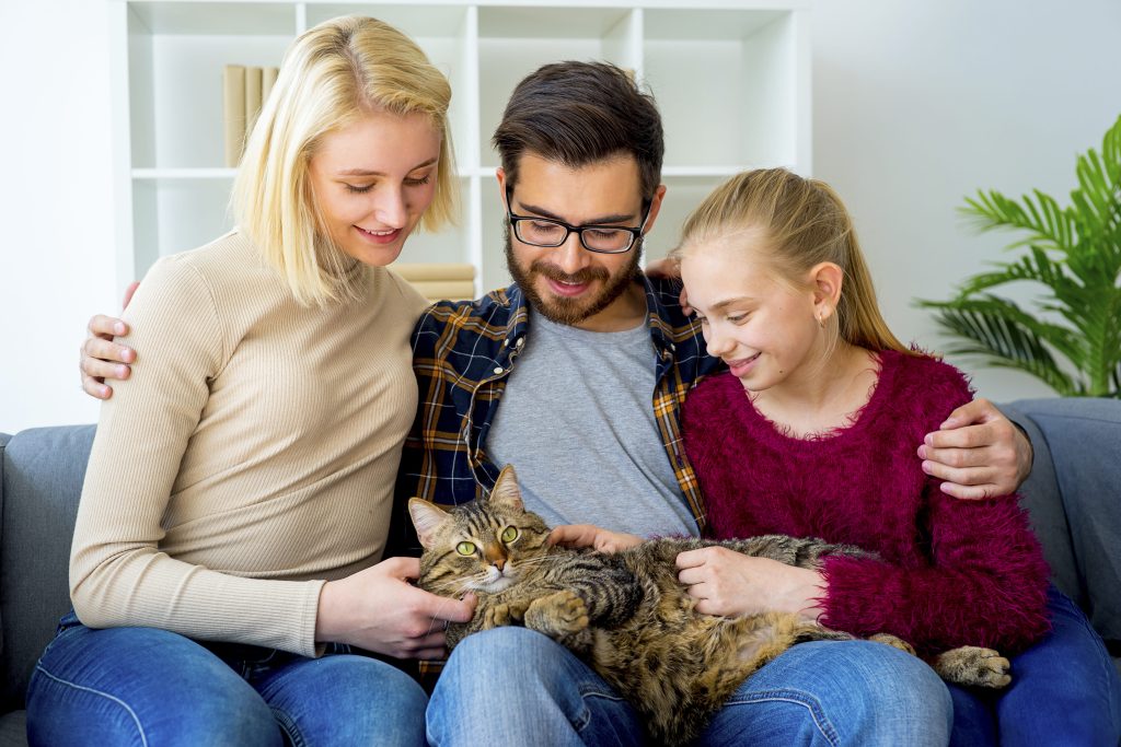 Um gato no colo de um homem, com uma mulher à sua direita e uma criança à sua esquerda