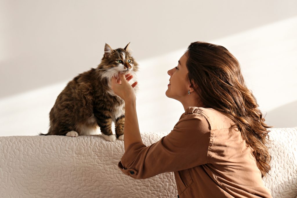 Mulher fazendo carinho em seu gato que está em cima do sofá