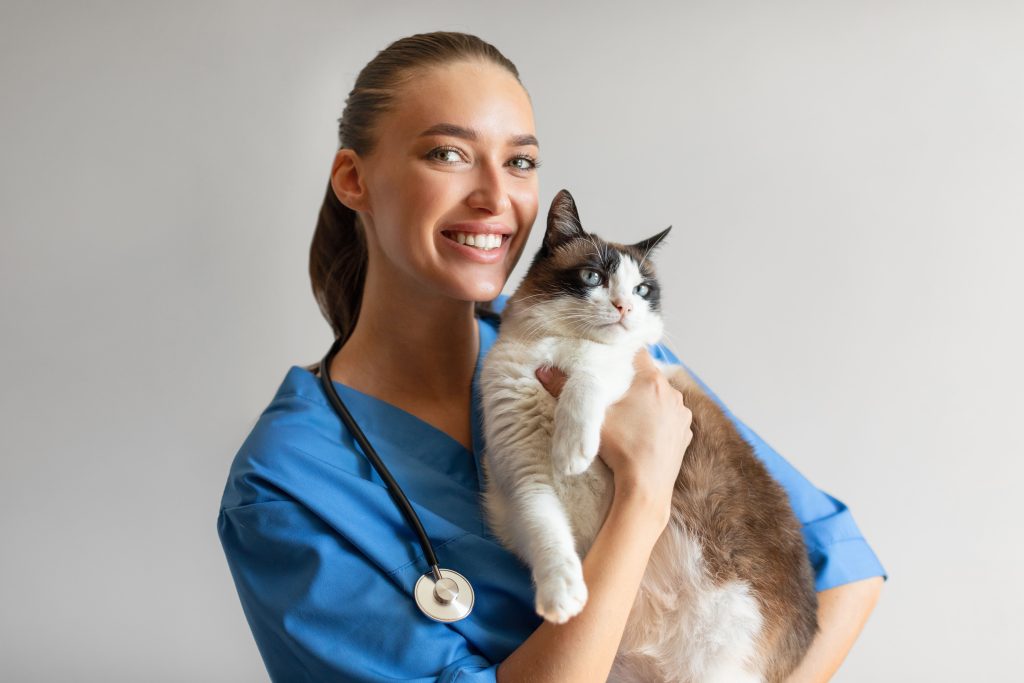 Veterinária sorrindo enquanto segura um gato