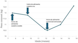 Evolução de peso do animal e os momentos de troca de tipo de alimentação