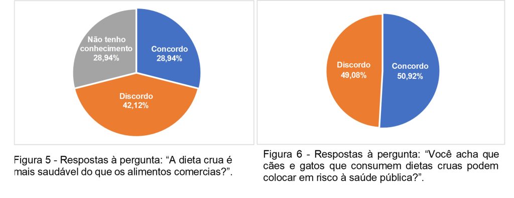 Gráfico de pizza mostrando resultados das perguntas