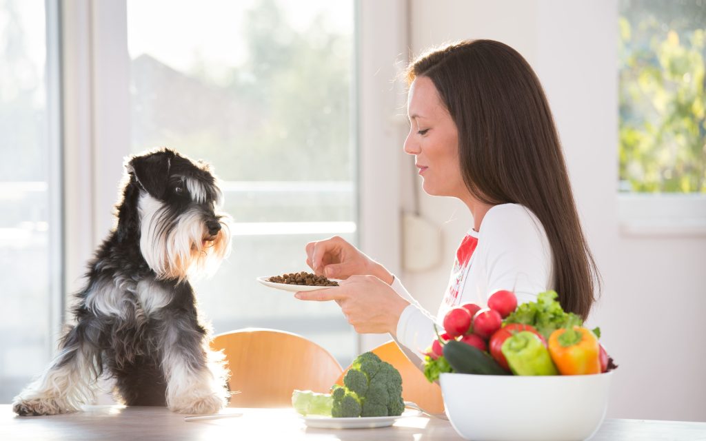 Tutora alimentando seu cão na mesa com uma tigela de legumes ao seu lado