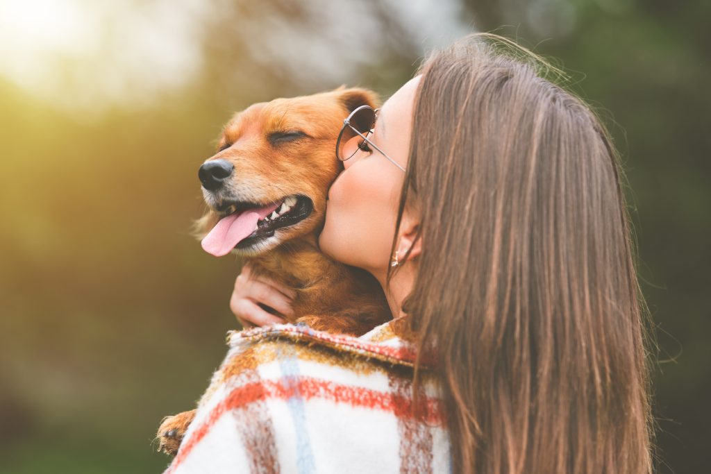 Tutora beijando cão