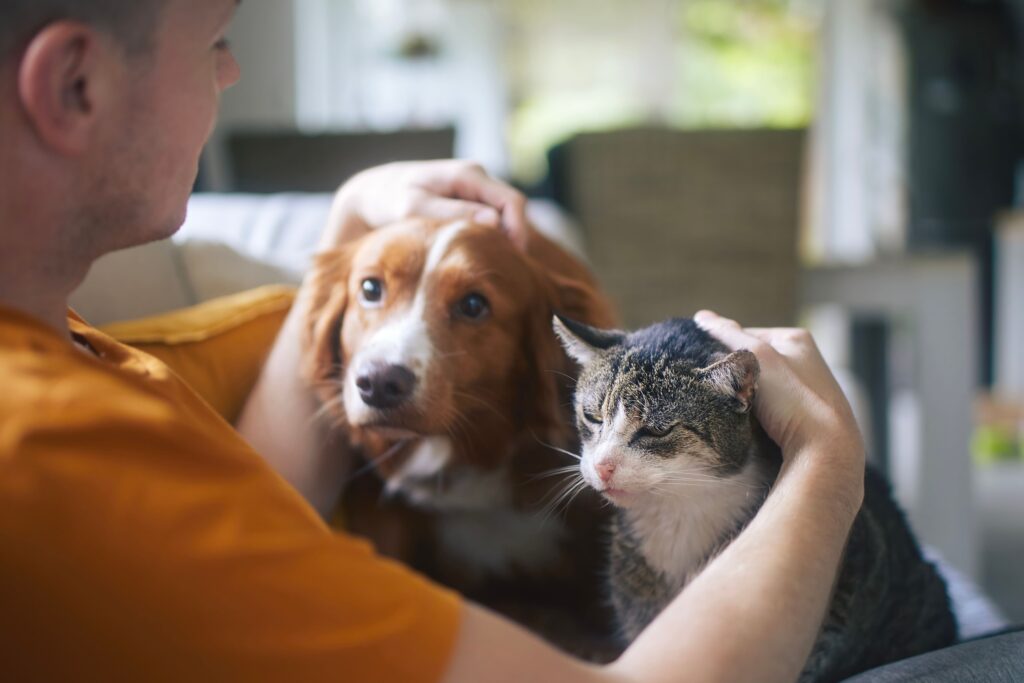 Tutor olhando para seu cão e gato