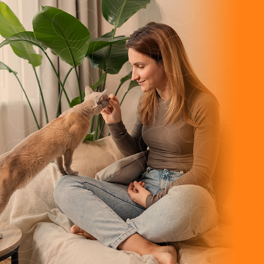 Tutora dando comida para gato enquanto está sentada no sofá